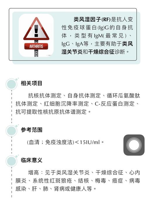 风湿类风湿的体检报告单