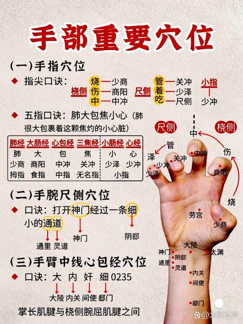 穴位按摩基础讲解视频