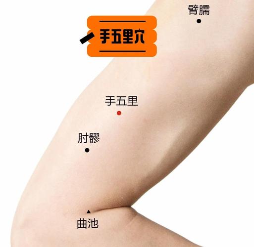哪个穴位可让手指灵活