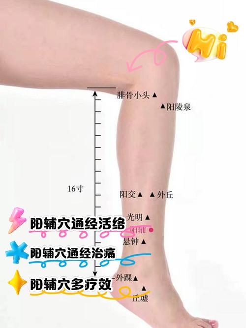 按摩穴位治疗小腿湿疹