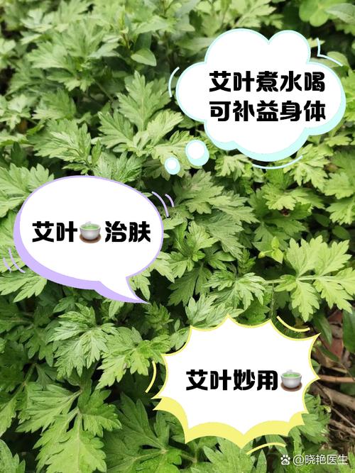 风湿灸叶水可以去风湿吗