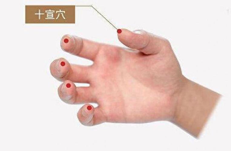 小儿急救手指放血穴位