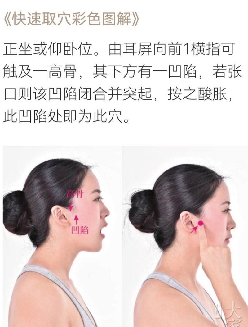 人体脸部按摩颊车穴位