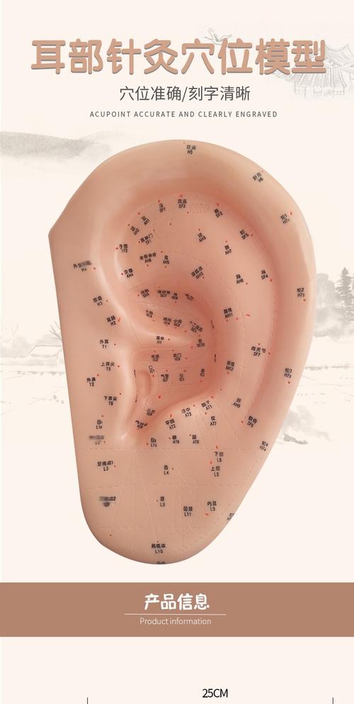 西安穴位发光模型电话