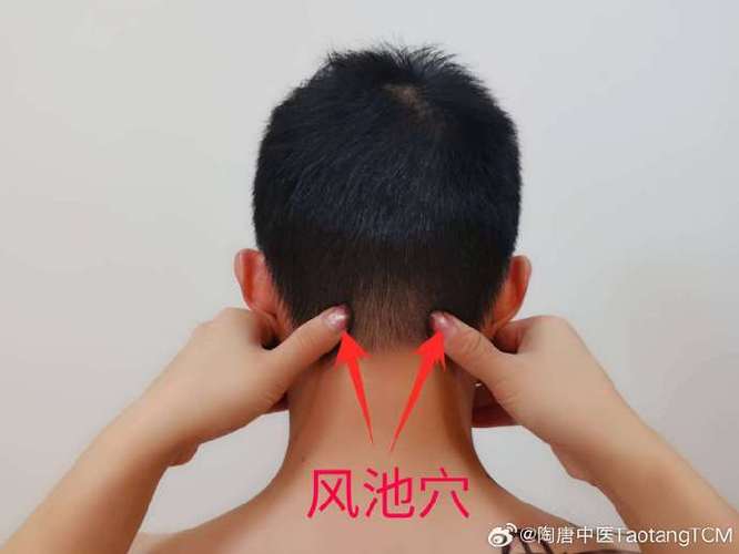 哪个穴位促进神经发育