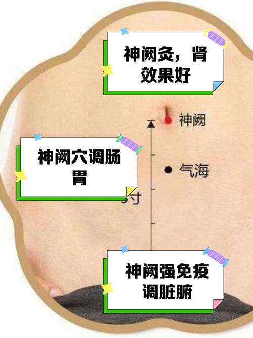 肚脐上面都有哪些穴位