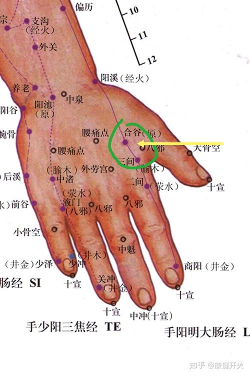穴位治疗牙龈出血图示