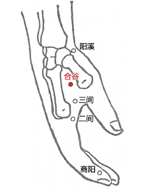 左边牙痛按摩什么穴位