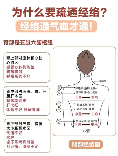 背面腰部穴位作用扎针