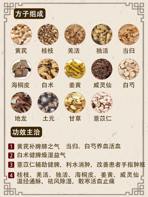 治疗风湿类风湿的中药方