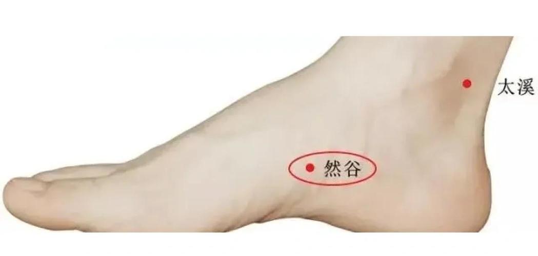 怎样正确按摩然谷穴位