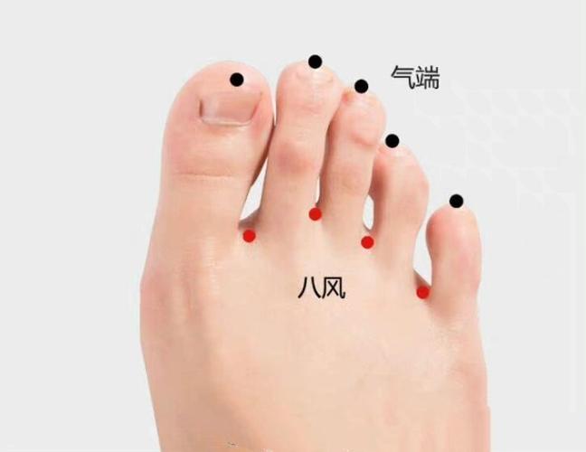 手脚发麻按摩什么穴位