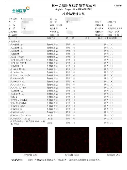 风湿三项类风湿因子52