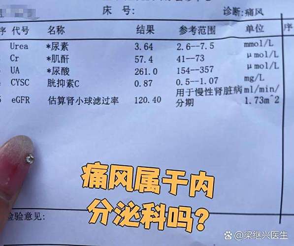 肾内风湿科和风湿免疫科