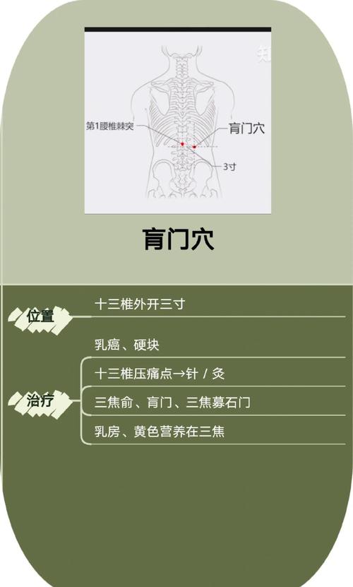 治疗肠胃要点哪些穴位