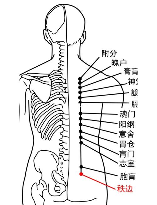 中医腰疼针灸哪些穴位