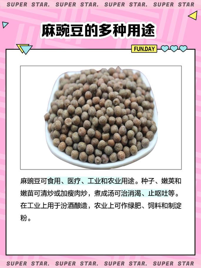 风湿类风湿可以吃豆类吗