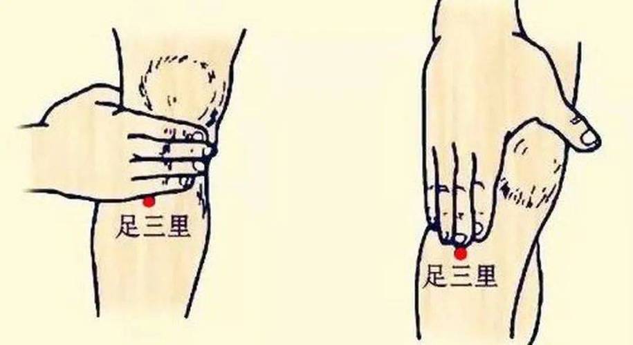 穴位 怎么控制不勃起