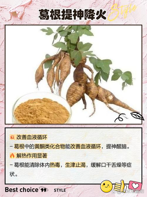 葛根可以治疗心梗脑梗吗