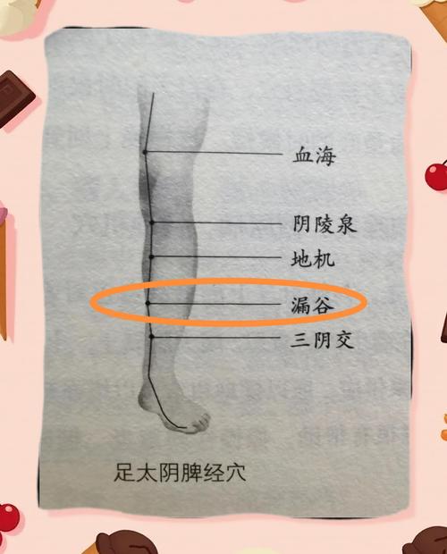 腿部没劲艾灸哪个穴位