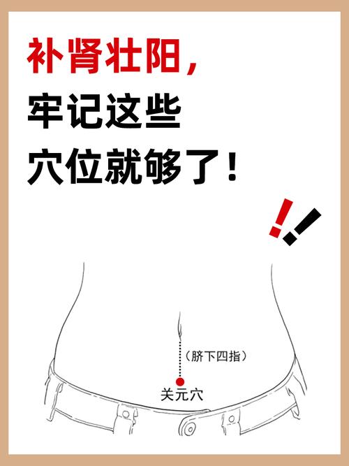 男生调节荷尔蒙的穴位