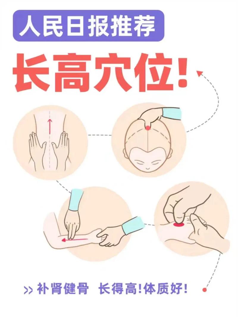 按摩哪个穴位可以增大