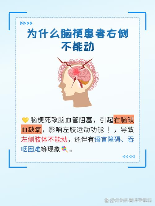 儿童脑梗可以做脑循环吗