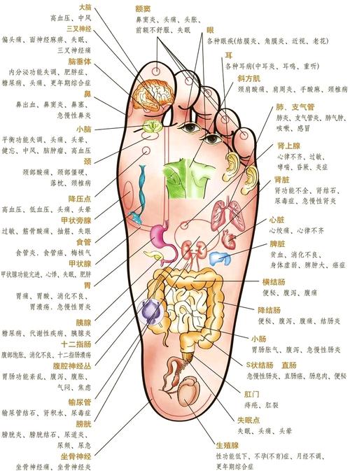 脚上哪个穴位主治眼花