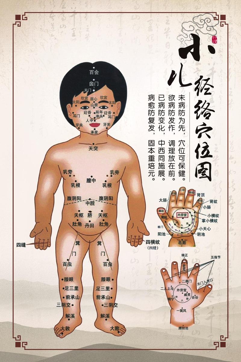 小儿推拿共有多少穴位