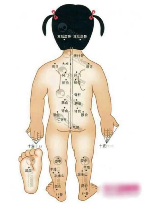 小儿推拿共有多少穴位