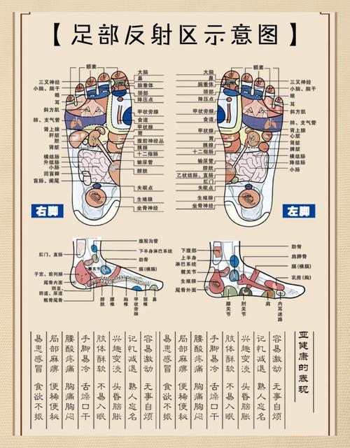 足部穴位都有什么作用