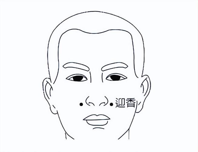 鼻子出血按压哪个穴位