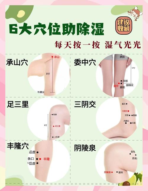 体内湿热按摩哪个穴位