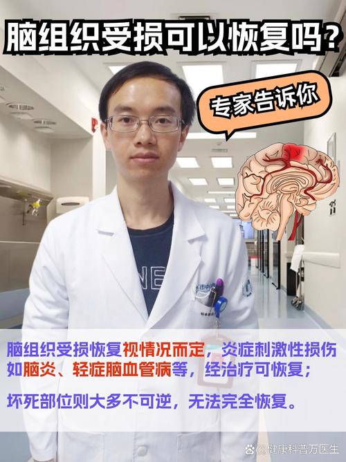 左脑脑梗坏死需要手术吗