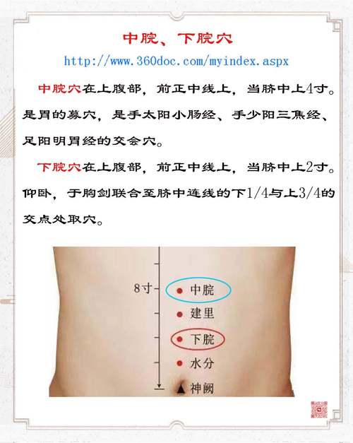 没有食欲针灸什么穴位