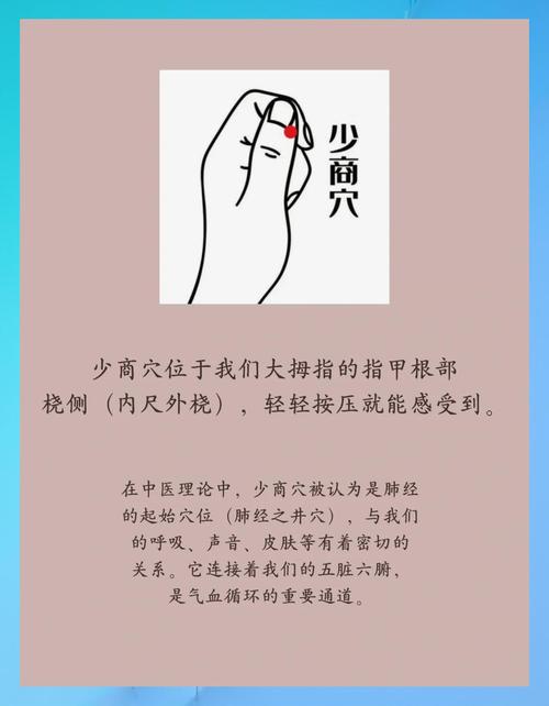 没有食欲针灸什么穴位