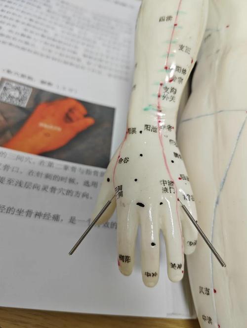 手脚发麻针炙什么穴位