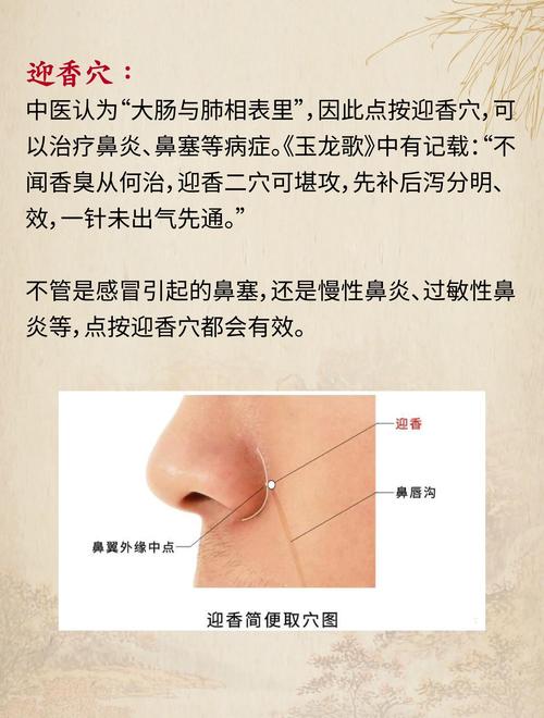 鼻塞厉害按摩哪个穴位