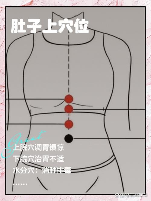 睾丸 缩入腹内 穴位