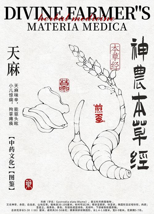 本草纲目治疗风湿类风湿