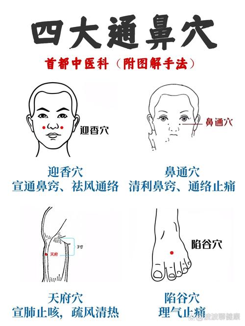 中医按摩穴位治疗鼻炎