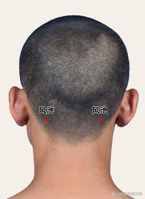 头部眩晕按摩那个穴位