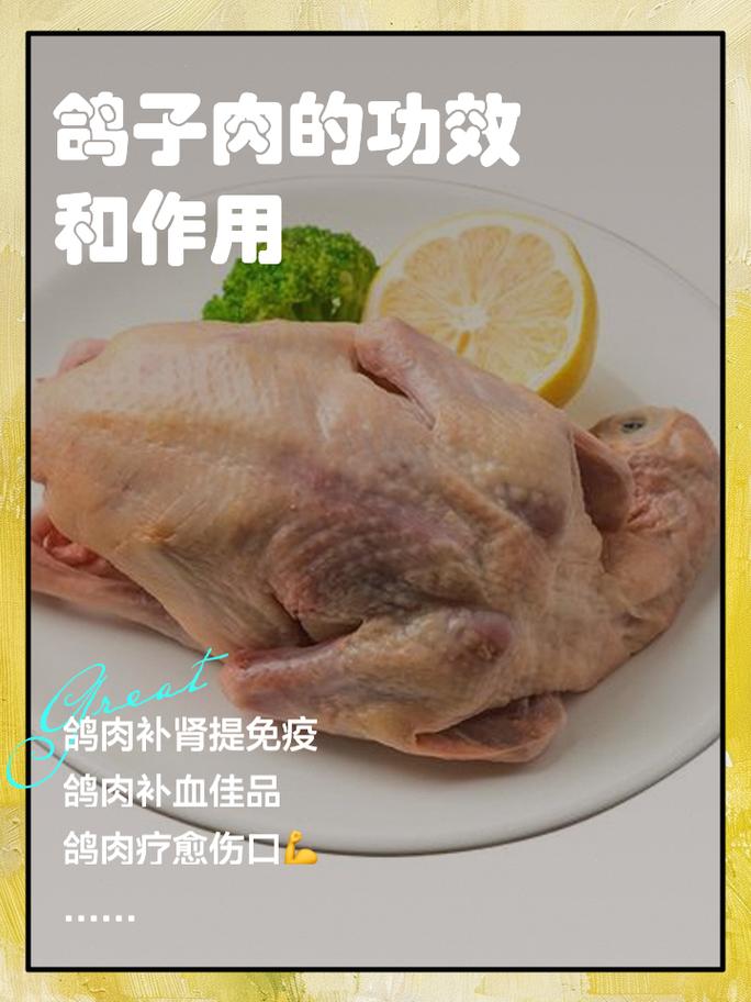 风湿类风湿鸽子可以吃吗