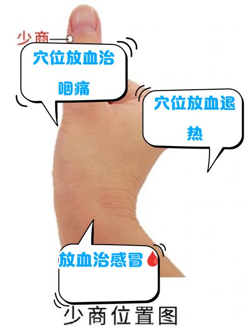 崩漏止血艾炙哪个穴位