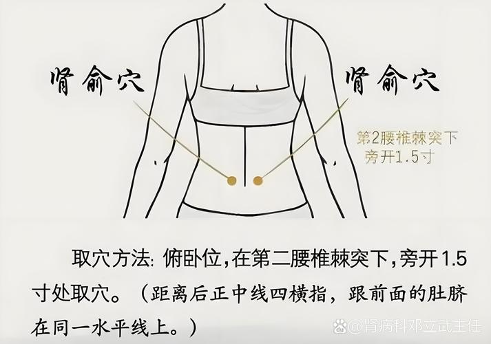 肾不好 要按哪些穴位