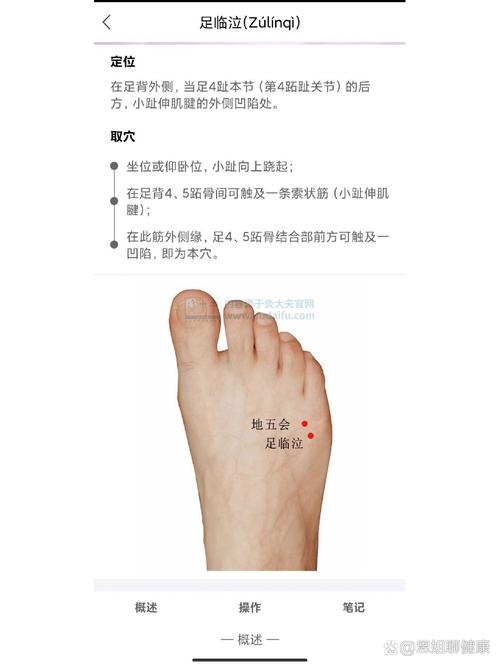 足临泣穴位的准确位置