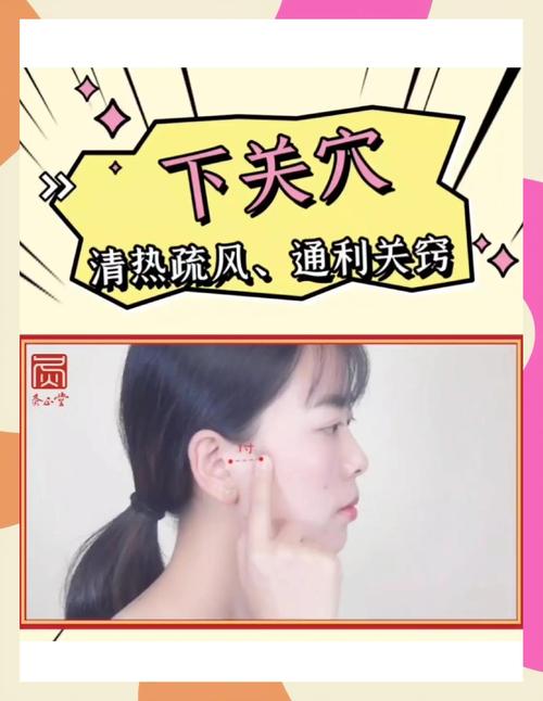 穴位 下关在什么位置