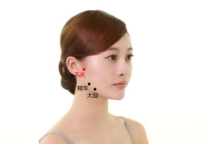 穴位 下关在什么位置