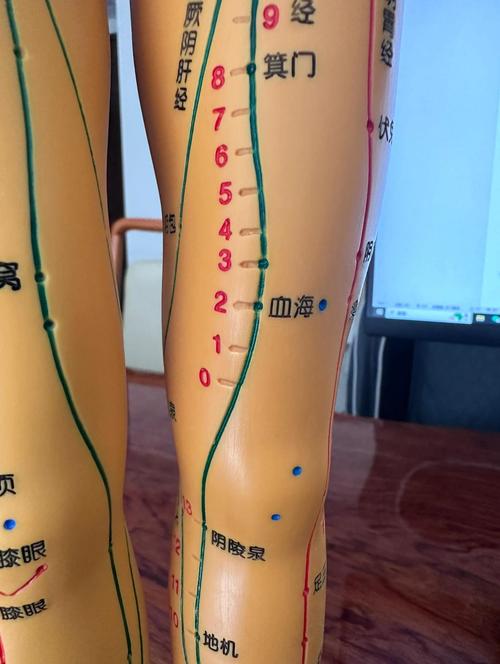 不孕不育按摩哪些穴位