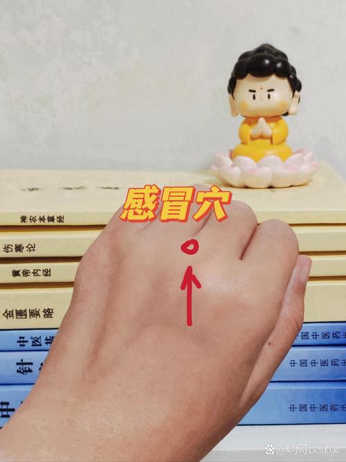 哪些穴位可以预防感冒